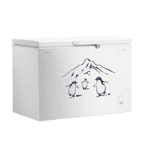 Hisense 310Litres Chest Freezer